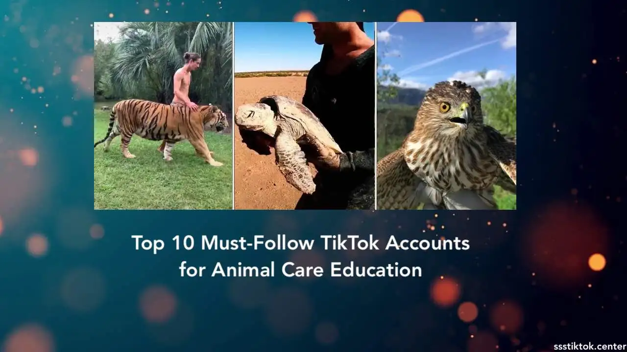 Top 10 TikTok Accounts for Animal Care Education